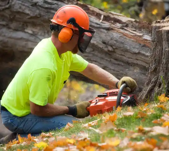 tree services South Sioux City